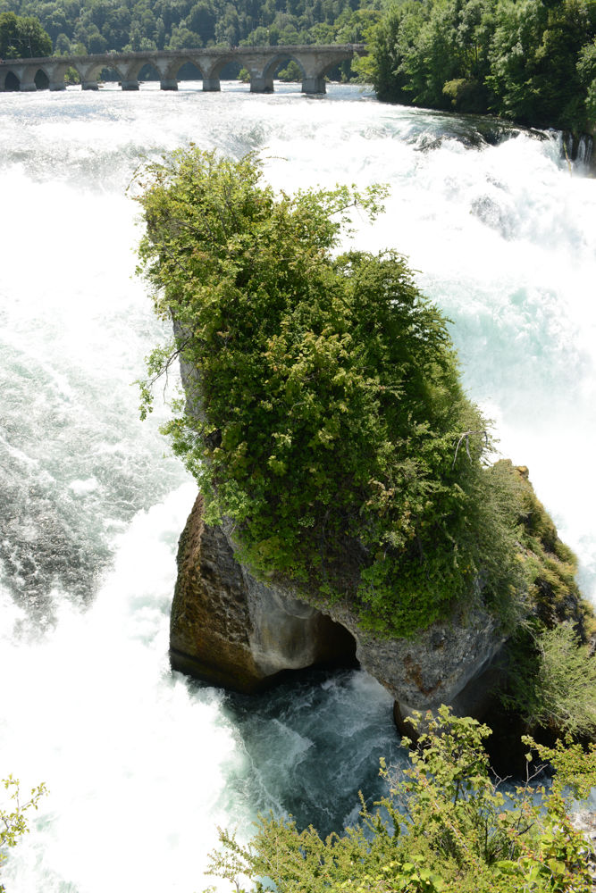 Mitten im Rheinfall