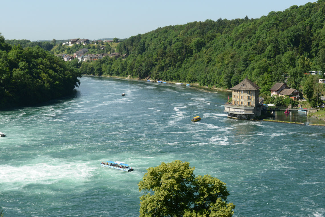 oberhalb des Rheinfalls bei Schaffhausen