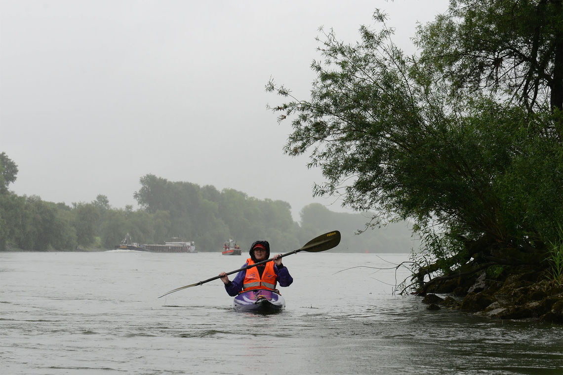 Donau an der Isarmündung